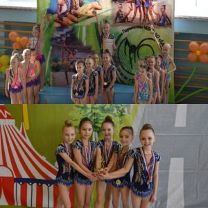 Открытый турнир МБОУ ДО «ДДЮТ» по художественной гимнастике «Ладошки»