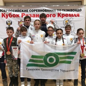 Всероссийские соревнования по тхэквондо "Кубок Рязанского Кремля"