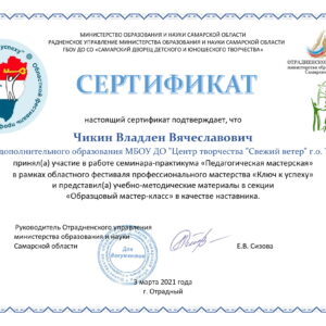 Сертификат участника Фестиваля профессионального мастерства «Ключ к успеху» Чикина В.В.