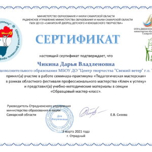 Сертификат участника Фестиваля профессионального мастерства «Ключ к успеху» Чиконой Д.В.