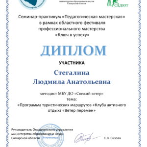 Диплом Фестиваля профессионального мастерства «Ключ к успеху» Стегалиной Л.А