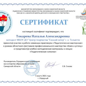 Сертификат участника Фестиваля профессионального мастерства «Ключ к успеху» Токаревой Н.А.